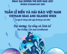 Tổ chức các hoạt động tại Tuần lễ Biển và Hải đảo Việt Nam hưởng ứng Ngày Đại dương thế giới năm 2021